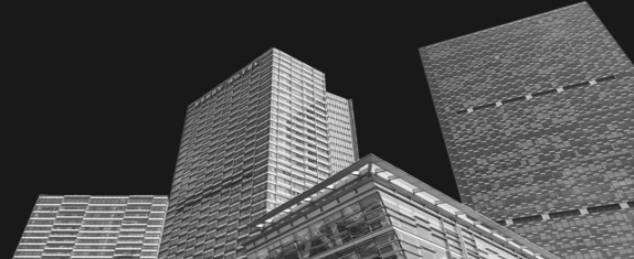 全平臺高粘性KOL